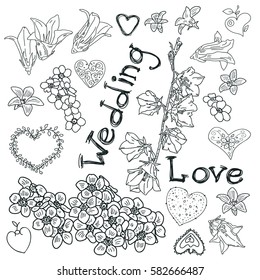 Wedding floral design, vector.