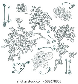Wedding floral drawing, vector.