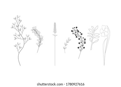 Wedding frame in black and white. Herbal minimalistic vector frame. Herbal logo. Botanical art design. All elements are isolated and editable. EPS 10