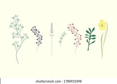 Wedding frame. Herbal minimalistic vector frame. Herbal logo. Botanical art design. All elements are isolated and editable. EPS 10