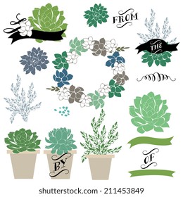 Wedding graphic set with succulents, wreath and glass terrariums