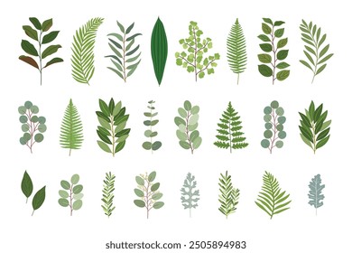 Wedding greenery collection. Set of magnolia, eucalyptus, bay, salal, fern, lemon,rosemary, olive natural leaves. Hand drawn vector illustration