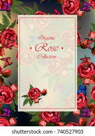 Wedding or greeting card design with red roses and butterflies. Invitation or postcard design. Great floral collection