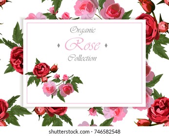 Wedding or greeting card design with red roses . Invitation or postcard design. Great floral collection
