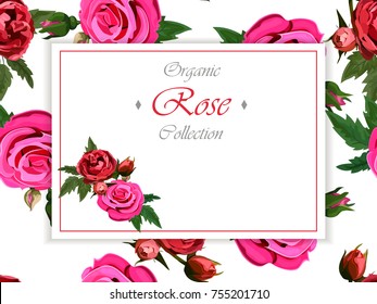 Wedding or greeting card design with red roses . Invitation or postcard design. Great floral collection