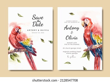 Wedding invitation with beautiful scarlet macaw parrot watercolor