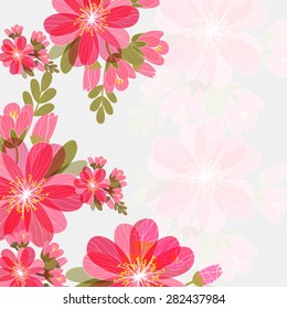 Wedding invitation card