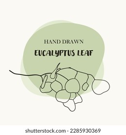 wedding invitation card eucalyptus background. Eucalyptus on wedding invitation card template. Rustic vintage borders of eucalyptus branches and leaves. Save the date, birthday, celebration, wedding