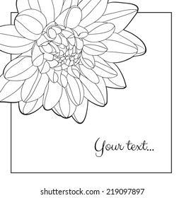 Wedding invitation card with flowers. 