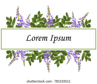 Wedding invitation card, greeting card vector floral greenery design. The flowers of Galega officinalis, branch green leaves foliage herb greenery, border. Poster, banner. Watercolor art illustration