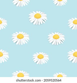 Wedding invitation card. Seamless pattern, background decorated with yellow white daisy chamomile flowers. Vector design