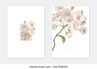 Wedding Invitation Card Set with Cherry Branch and White Flowers Decorative Ornamental Template. Floral Poster, Invite Greeting Background, Banner Flyer Brochure. Cartoon Flat Vector Illustration