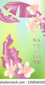 Wedding invitation cards set with tropical leaves and plumeria flowers on background. Luxury exotic botanical design for wedding ceremony. Can be used for cosmetics, spa, beauty salon