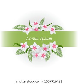 Wedding invitation, a congratulation happy birthday.Floral design invitation card, green fern leaves, small white blooming Hoya flowers.Green ribbon, space for text. Vector, isolated, white background