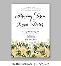 Wedding invitation design template pale roses eucaliptus flowers and green leaves on white backround. Floral bouquet decoration. Vector illustration. Bridal shower invitation baby shower 