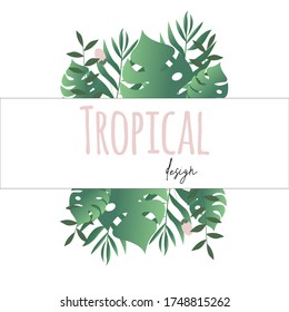 Wedding invitation with exotic palm leaves. Summer sale line tropical banner with monstera leaves template. Vector isolated illustration. 