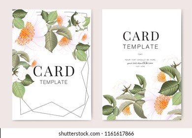 Wedding Invitation, floral invite thank you, rsvp modern card Design in white rose with red berry and leaf greenery  branches decorative Vector elegant rustic template
