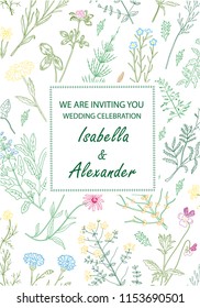 Wedding invitation frames with herbs and wild flowers. Hand drawn vintage vector illustration. Line art style.