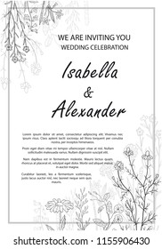 Wedding invitation frames with herbs and wild flowers. Hand drawn vintage vector illustration. Line art style. Rustic template.
