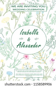 Wedding invitation frames with herbs and wild flowers. Hand drawn vintage vector illustration. Line art style. Rustic template, greenery color.