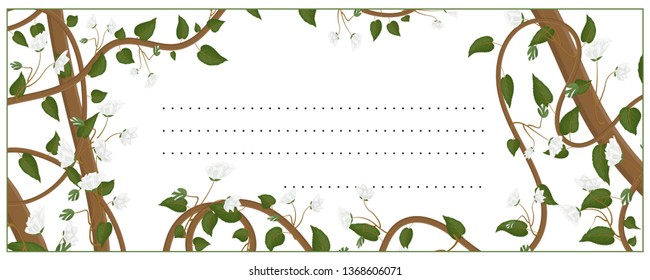 Wedding invitation, greeting card in horizontal format. Botanical ornament with leaves, lianas, white flowers. Actinidia colomicta.