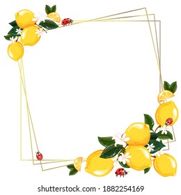 Wedding invitation with lemons and herbs in a watercolor style and golden frame on a white background. Ladybugs. Template for congratulations, greeting cards, posters with place for text.