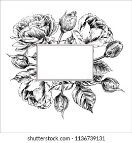Wedding invitation with roses painted by hand with ink and a pen. Postcard, poster, banner. Vector image.