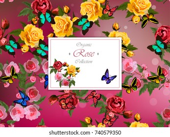 Wedding invitation with roses. yellow and red roses and butterlfies. Floral collection