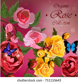 Wedding invitation with roses. yellow and red roses and butterflies. Floral collection