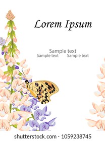 Wedding invitation template or birthday card.Pink and purple blooming flowers of Galega with a sitting butterfly.Place to copy the text.Floral vector illustration.White background, isolated