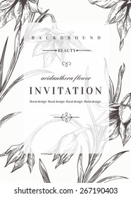 Wedding invitation template with flowers. Acidanthera flowers. Vector illustration.