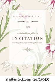 Wedding invitation template with flowers. Acidanthera flowers. Vector illustration.