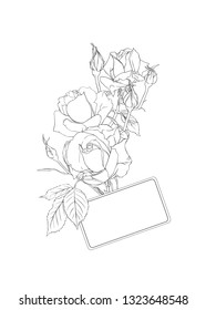 Wedding invitation with white roses and spring flowers.  Outline hand drawing vector illustration.