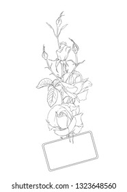 Wedding invitation with white roses and spring flowers.  Outline hand drawing vector illustration.