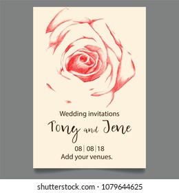 Wedding invitations card with hand pen drawing rose flower on isolated background.Vector illustration. 
