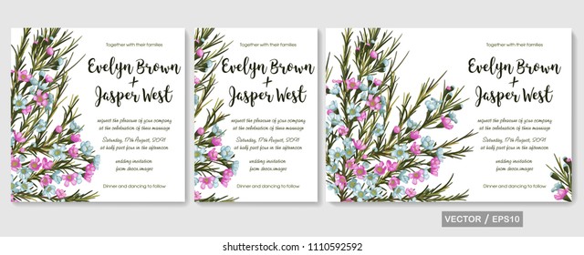 Wedding invite, invitation, rsvp, save the date card design with elegant  pink and blue wax flowers (chamaelaucium), branches leaves. Vector template set
