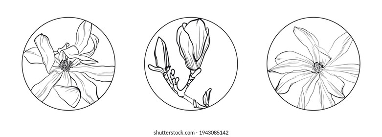 Hochzeitslogo, botanische rustikale, trendige magnolische Blumengrafik. Blumenlogo-Design. Abzeichen, Embleme, Logotypen für organische Kosmetik, Florist, Fotografie, Hochzeitslogos.