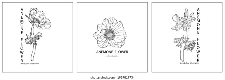 Wedding logo, Botanical rustic trendy anemones flowers illustration. Floral logo design. Badges, emblems, logotypes for organic cosmetics, florist, photography, wedding logos.