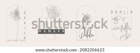 Wedding logo, Botanical rustic trendy Dahlia flowers illustration. Floral logo design. Badges, emblems, logotypes for organic cosmetics, florist, photography logos.