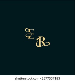 wedding logo initial ER elegant and curvy style monogram bold concept design letter