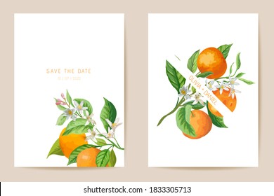 Wedding Mandarin invitation card, vintage Save the Date botanical citrus template, design watercolor illustration. Vector luxury oranges trendy cover, graphic poster, brochure