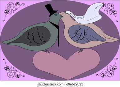 Wedding of pigeons