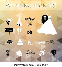 Wedding Planner Icons and Infographics 