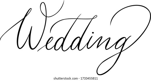 Wedding. Pointed pen calligraphy. Hand written vector for invitations, cards, banners.