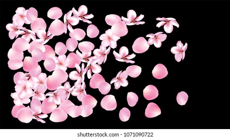 Wedding Sakura Cherry and Rose Petals Realistic Confetti. Shower Vector Peach Apple Blossom Soft Sakura Cherry and Rose Confetti Falling Down. Japanese Ornament Floral Natural Cosmetic Background