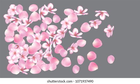 Wedding Sakura Cherry and Rose Petals Realistic Confetti. Spring Vector Peach Apple Blossom Elegant Sakura Cherry and Rose Confetti Falling Down. Windy Floral Design, Natural Cosmetics Background