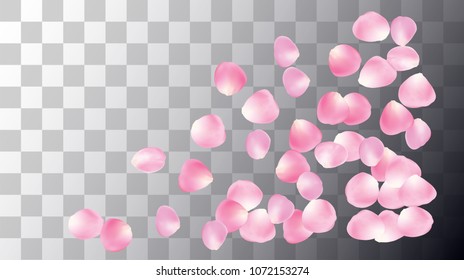 Wedding Sakura Cherry, Rose Petals Nice Confetti. Tender Vector Celebration Design. Soft Sakura Cherry and Rose Confetti Falling Down.