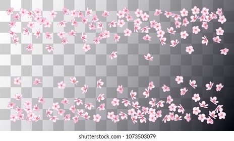 Wedding Sakura Cherry, Rose Petals Floral Confetti. Shower Vector Peach Apple Blossom Spring Sakura Cherry and Rose Confetti Falling Down. Nice Fragrant, Natural Cosmetics, Beauty Background.
