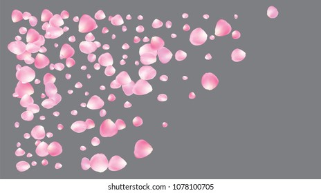 Wedding Sakura Cherry, Rose Petals Nice Confetti. Tender Vector Celebration Design. Elegant Sakura Cherry and Rose Confetti Falling Down. Windy Floral Design, Natural Cosmetics Decoration