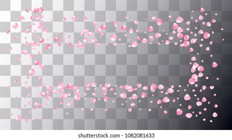 Wedding Sakura Cherry, Rose Petals Nice Confetti. Spring Vector Peach Apple Blossom True Love Sakura Cherry and Rose Confetti Falling Down. Japanese Floral Natural Cosmetics, Beauty Background